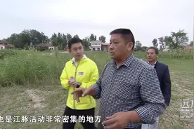 这里地处安徽 江西 湖北三省交界处 最多可以观测到60只江豚视频封面