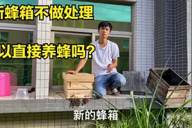 新蜂箱可以直接养蜂吗？养蜂小伙分享多年经验，这个换箱你怎么看视频封面