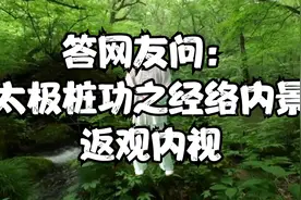 答网问：“何谓返观内视”。浅析太极桩功之经络内景的返观内视视频封面