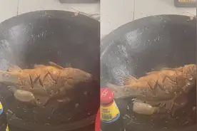 年夜饭途中鲤鱼自己翻身 鱼：你会不会做鱼，不会我自己来视频封面