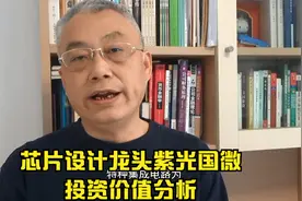 芯片设计龙头紫光国微投资价值分析视频封面