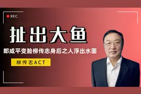 再次反转，郎咸平变脸支持联想牵出大瓜？柳传志身后之人浮出水面视频封面