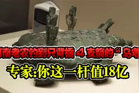2003年，河南老农钓到一只背插4支箭的“乌龟”,专家：这一杆18亿视频封面