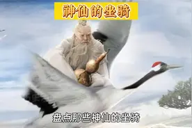 盘点那些神仙的坐骑视频封面