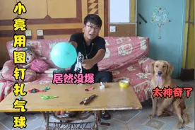 小亮用图钉直接扎气球瞬间爆了，粘上胶带再扎却不爆，什么原理？视频封面