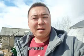 石油涨价对农民种地影响大不大，相对于油价，影响最大的还是粮价视频封面
