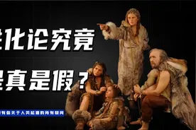 进化论是假的？没有进化的中间形态？我求求你们做个人吧！视频封面