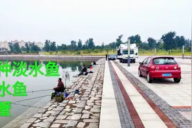 山东潍坊白浪河，咸淡混合水域，还有大闸蟹