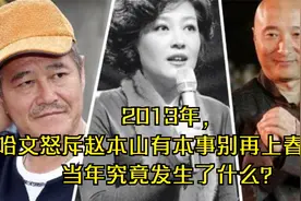 2013年，哈文怒斥赵本山有本事别再上春晚！当年究竟发生了什么？视频封面