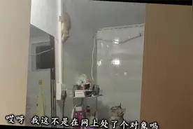搞笑视频：五二，我现在不管你是怎么上去的，你能这么从容的上面视频封面