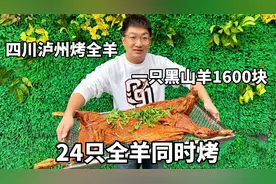 四川泸州吃烤全羊，24只同时烤，一只1600块只用本地黑山羊视频封面