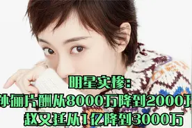 明星实惨：孙俪片酬从8000万降到2000万，赵又廷从1亿降到3000万视频封面