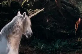 神奇的独角兽，祂可以验证人类的心灵是否纯洁视频封面