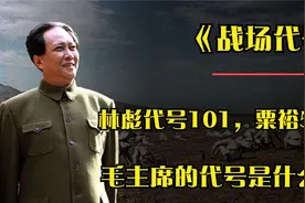 解放战争时，林彪的代号为101，粟裕的代号为502，那毛主席的呢？
