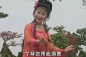 黄梅戏：《追鱼》 我儿生来就老实