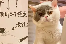 热心邻居捡到猫咪在电梯张贴“画像启事”寻主：细节“惟妙惟肖”视频封面