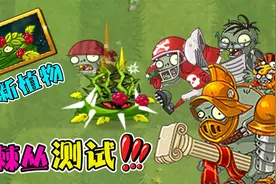 植物大战僵尸：新植物荆棘丛技能测试！角斗士：巨人的克星？视频封面