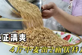 我用4斤小麦，做出2瓶伏特加，纯正清爽，7分钟学会在家可自酿视频封面
