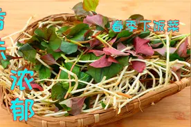 折耳根最美味的两种做法，只有川渝才懂的神仙吃法，看着看着馋了视频封面