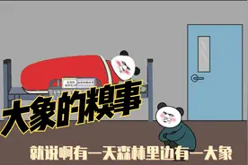 爆笑糗事，大象与小白兔的故事，一起来看，笑死了。。。。。。视频封面