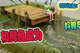 模型：鳄鱼和人类成为好朋友！这个好朋友爱好独特！视频封面