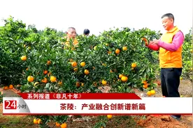 系列报道《非凡十年》茶陵：产业融合创新谱新篇视频封面
