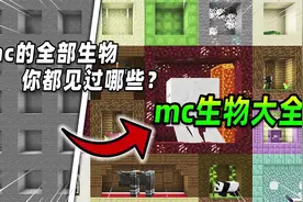 我的世界：mc所有的生物，你都见过哪些视频封面