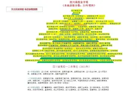 四川高校金字塔（修订版）视频封面