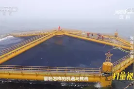 一次性养殖150万条深海三文鱼!世界最大超级渔场太夸张|实验现场视频封面