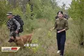 记者探访军犬训练基地 大胆体验被军犬扑咬视频封面