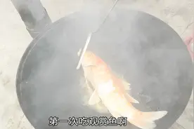 农村小伙买的锦鲤死了一条，就直接做一锅酸菜鱼，吃着是啥味？视频封面