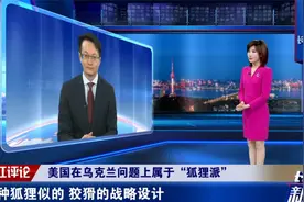 俄军对手浮出水面！西方对乌军援分三派，专家：美国是“狐狸派”视频封面