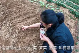 广西现在适合种这些菜，大姐撒上种子一月后，终于长成小苗了视频封面