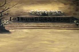 【4K】Magisk获取华为手机root【转载】