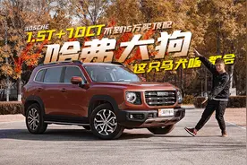 1.5T+7DCT 不到15万买顶配 这只马犬啥都会视频封面