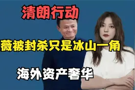 清朗行动，赵薇被封杀只是冰山一角，海外资产奢华视频封面