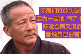 邻居打的头破血流，因为几亩地闹了十几年，都没承包合同，怎么办视频封面