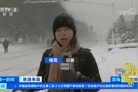 辽宁锦州：全域普降暴雪，各部门联动应对极端天气|第一时间视频封面