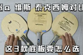 盘点3款蝴蝶底板的优缺点，教你如何选择张a、维斯和泰克西姆