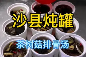 大厨分享茶树菇排骨汤好喝又美味。学会给家人补补。视频封面
