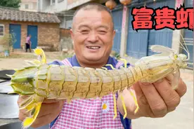 1600买15条“富贵虾”，比手臂还长，吃一只就饱了！视频封面