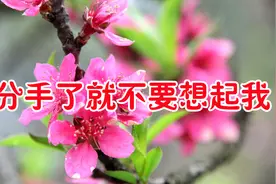 新歌！《分手了就不要想起我》泪流过心碎过，希望你比我过的快乐视频封面