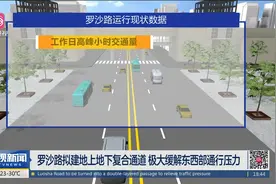 罗沙路拟建地上地下复合通道 极大缓解东西部通行压力视频封面