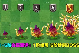 1-5阶金缕梅女巫测评：5阶质变秒boss！
