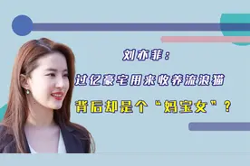 刘亦菲：过亿豪宅用来收养流浪猫，背后却是个“妈宝女”？视频封面