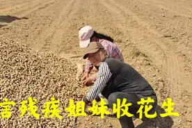 兄妹三人天生语言残疾，互相帮扶收花生，两亩花生能收入多少呢？视频封面