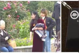 美！湖南省植物园国宝级植物伯乐树开花了，五一假期园区需预约视频封面