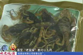 女子喝中药成分竟是蟑螂   中医昆虫入药不出奇视频封面