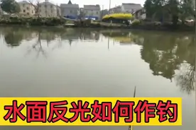 钓鱼的时候经常会遇到浮漂处反光导致看不清浮漂五种解决的方法