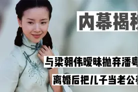 "单亲妈妈"董洁：与潘粤明离婚抚养儿子顶顶，如今怎么样了视频封面